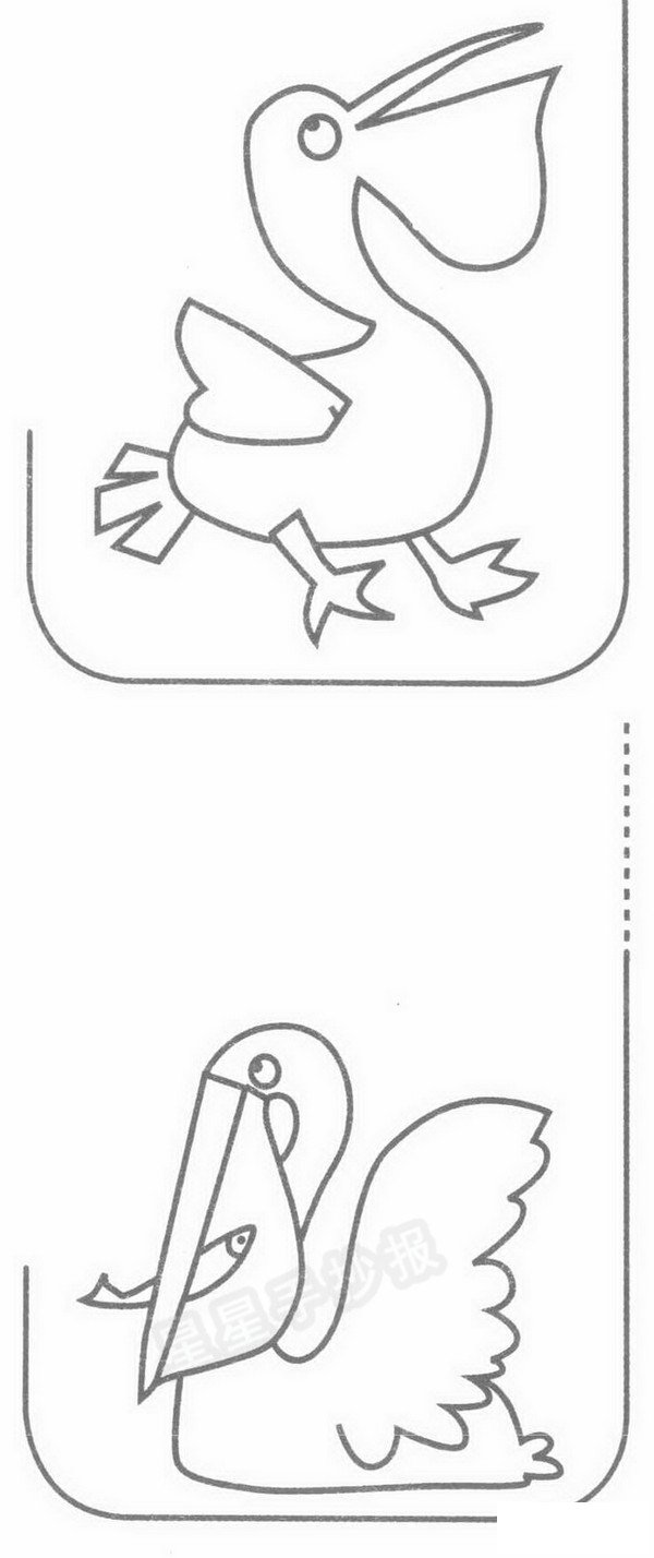 鹈鹕简笔画