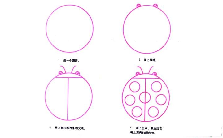 彩色简笔画瓢虫的图片教程