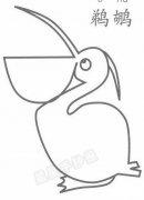 鹈鹕简笔画图片步骤教程