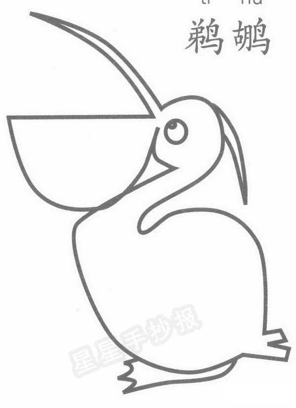 鹈鹕简笔画