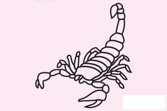 蝎子简笔画图片