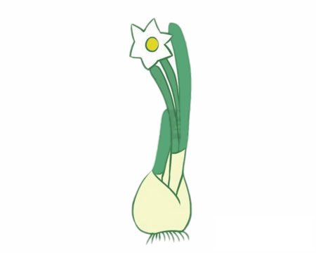 水仙花简笔画图片