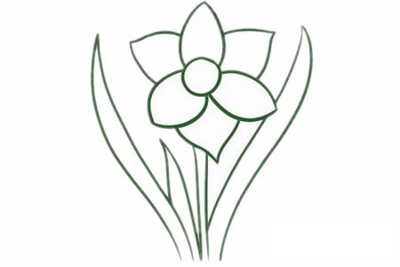 水仙花简笔画图片