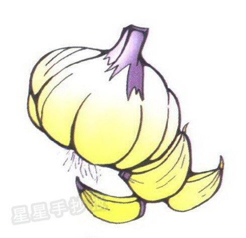 大蒜简笔画图片大全