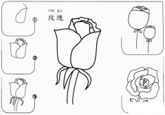 简单的玫瑰花怎么画简笔画