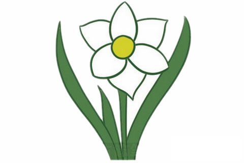 水仙花简笔画完成图