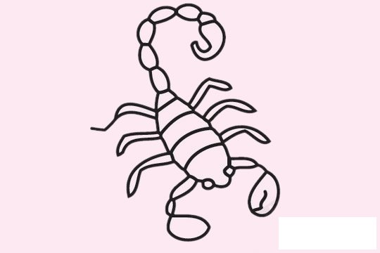 蝎子简笔画图片