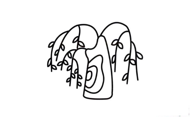 彩色简笔画柳树的图片教程