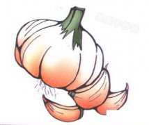 大蒜简笔画怎么画