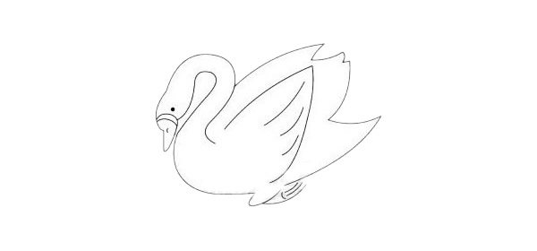 大白鹅简笔画图片