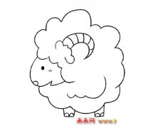 一只绵羊_动物简笔画2
