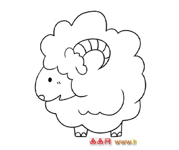 一只绵羊_动物简笔画2