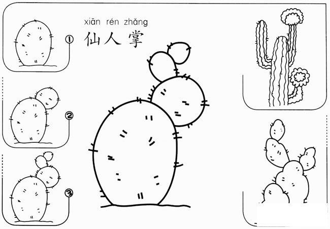 【仙人掌怎么画】幼儿园仙人掌怎么画步骤图教程