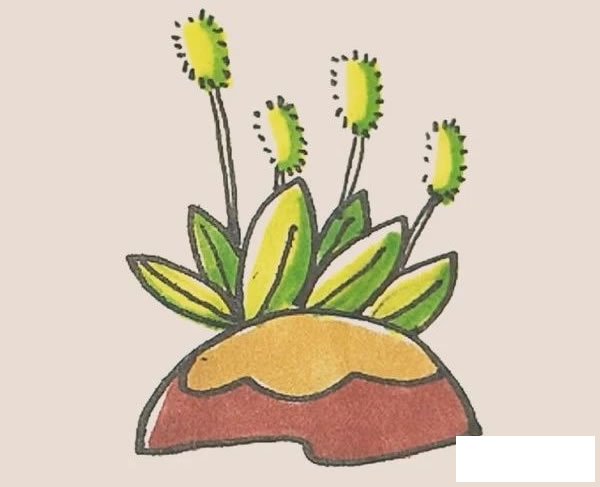 狗尾巴草简笔画图片