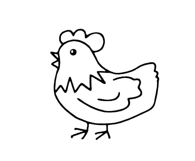 公鸡动物简笔画图片