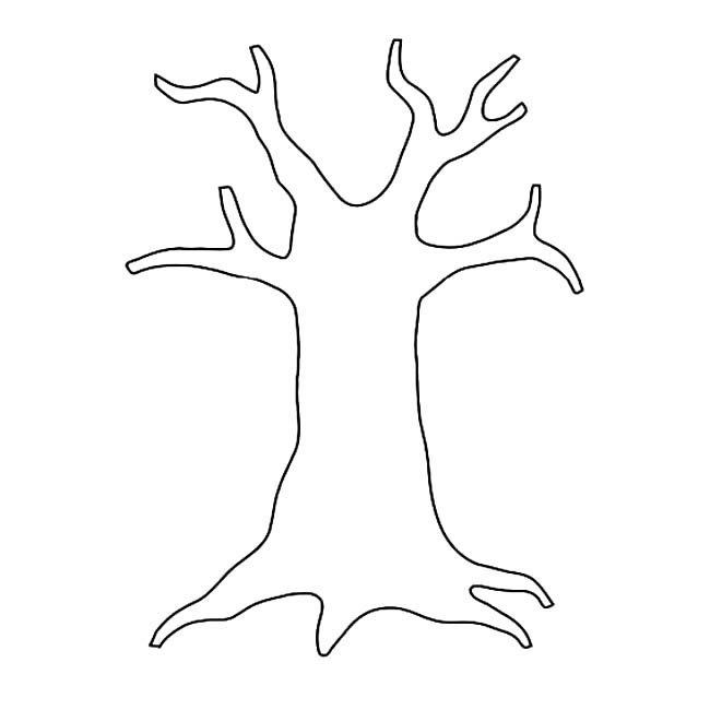 粗壮的树干植物简笔画步骤图片大全