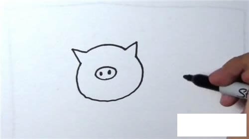 小猪简笔画