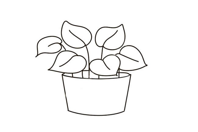 绿萝简笔画