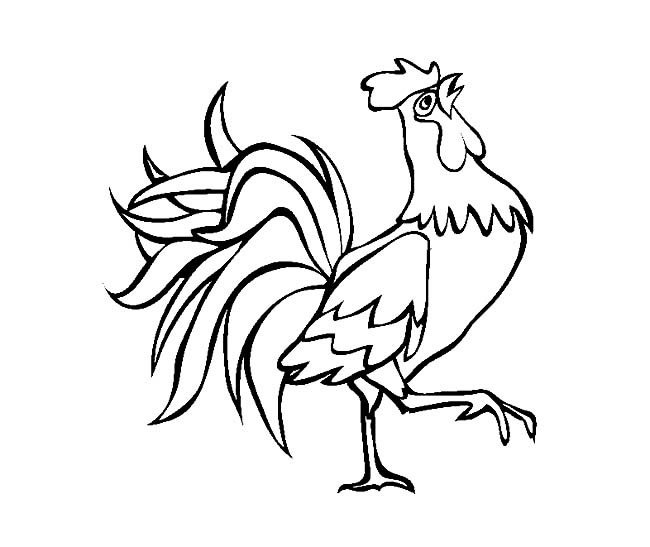 昂首挺胸的大公鸡简笔画图片