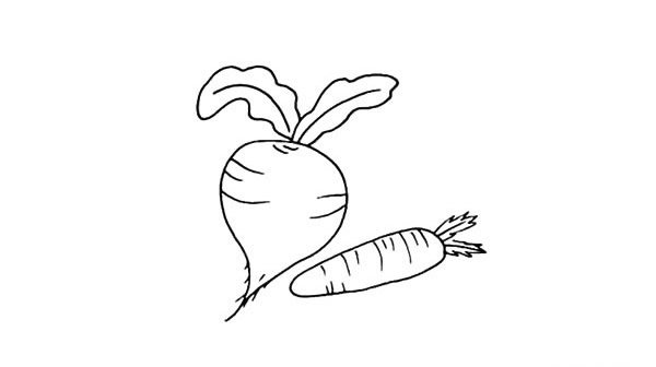 萝卜简笔画