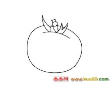 漂亮的西红柿简笔画2