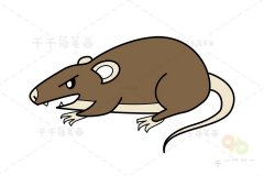 中华豫俊兽简笔画