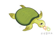 中华鳖简笔画