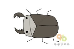 一步一步教你画甲虫简笔画