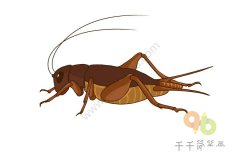 儿童简单画 蟋蟀简笔画步骤图