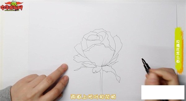玫瑰花怎么画