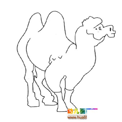 动物简笔画：一只骆驼7