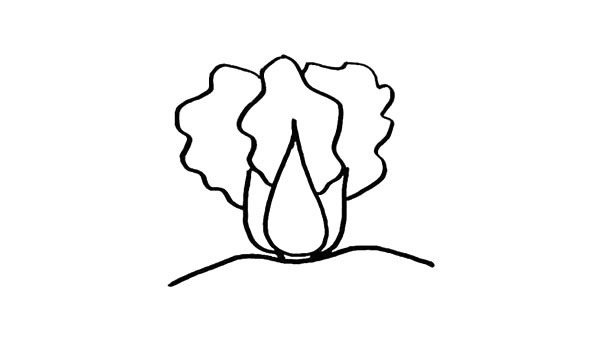 卡通大白菜简笔画