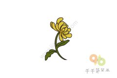 金黄色的菊花简笔画