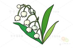 铃兰画法 花朵简笔画