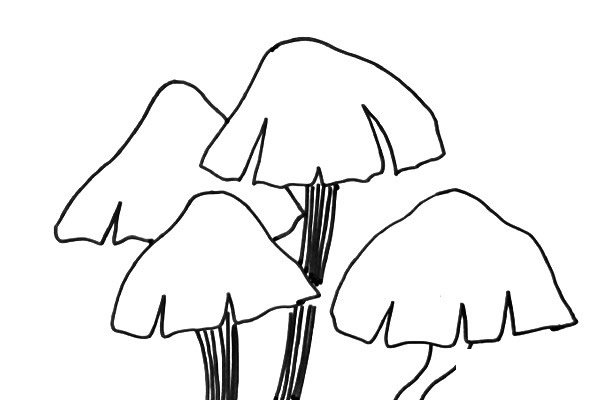 黑白线描蘑菇