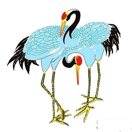 丹顶鹤简笔画彩图图片