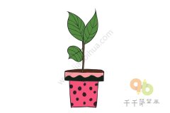 银丹草步骤简笔画