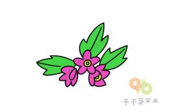 银莲草简笔画图片大全