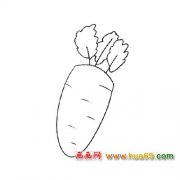 好吃的萝卜（简笔画）2