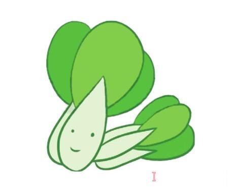 青菜油菜的画法步骤图带颜色 青菜简笔画图片