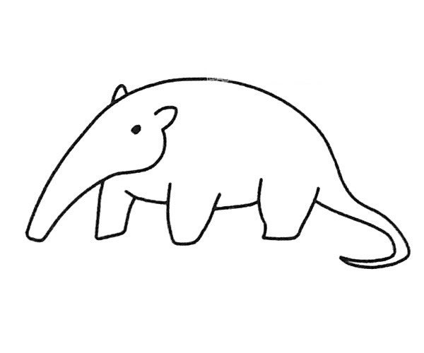 食蚁兽简笔画图片3