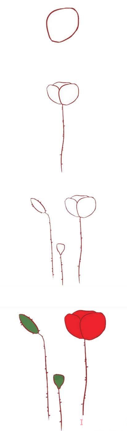 虞美人的画法步骤图带颜色 虞美人简笔画图片