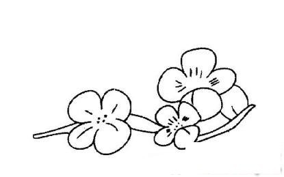简笔画凌寒独自开的具体画法步骤图片教程