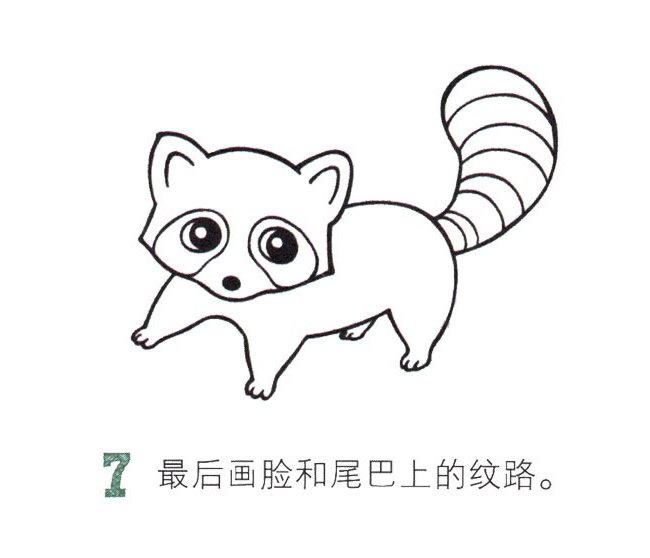 小浣熊动物简笔画图片
