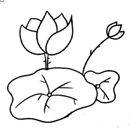 简笔画荷花的具体画法步骤图片教程