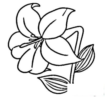 简笔画清新淡雅小百合的具体画法步骤图片教程