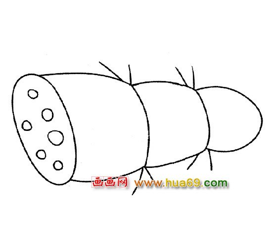 简笔画：粗壮的莲藕1