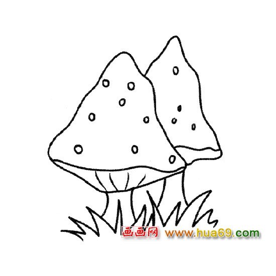 植物简笔画：洋茸