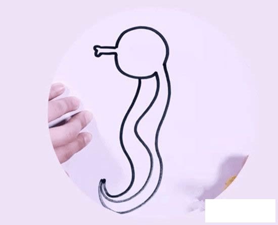 海马简笔画图片