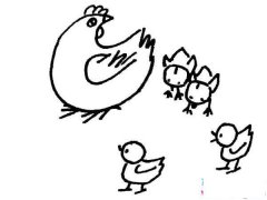 母鸡与小鸡简笔画大全